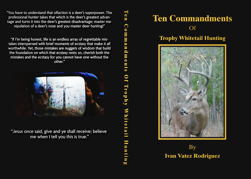 Book Cover Ten Commandments